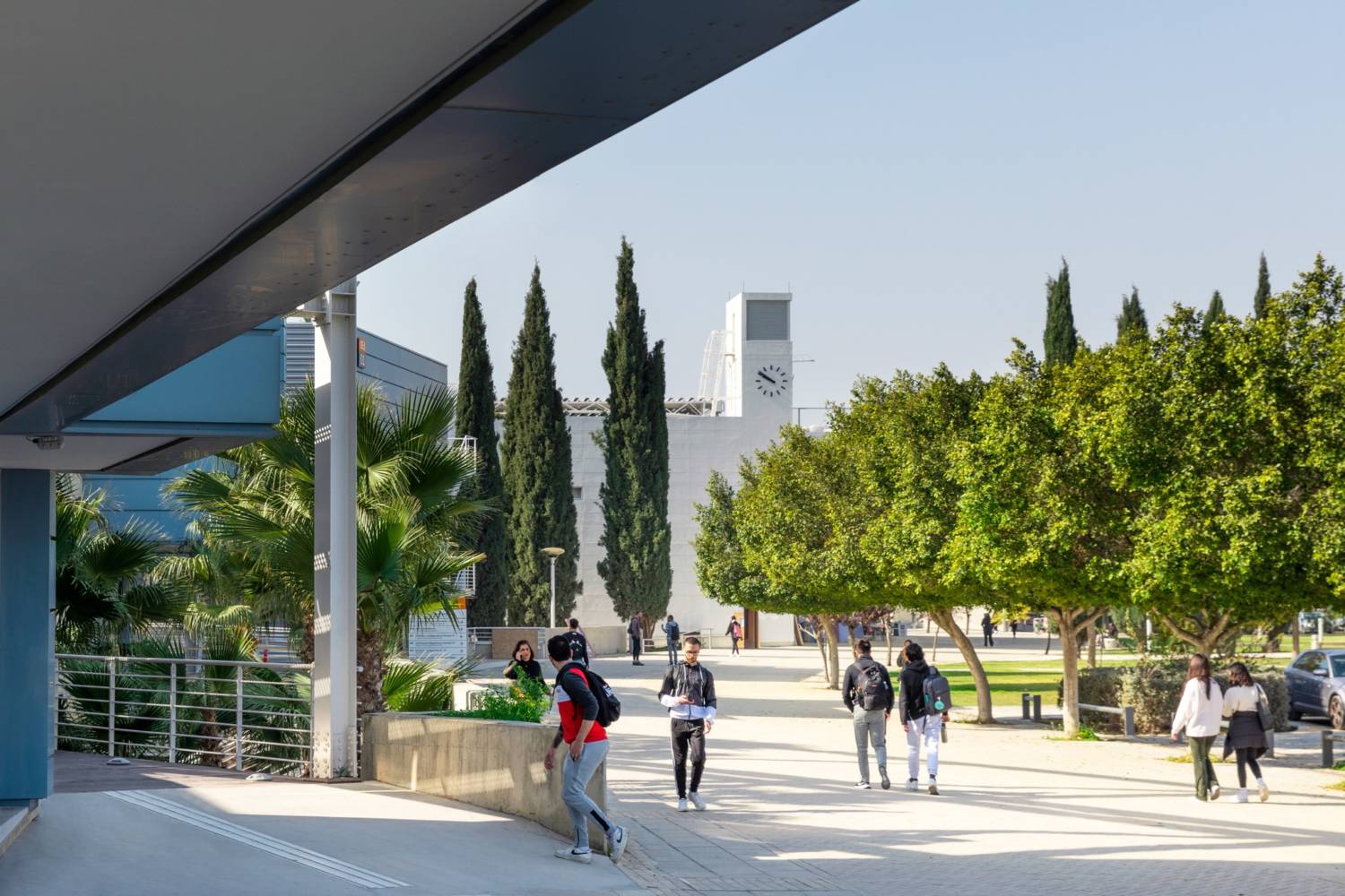 Cyprus universities private | the best 5 universities