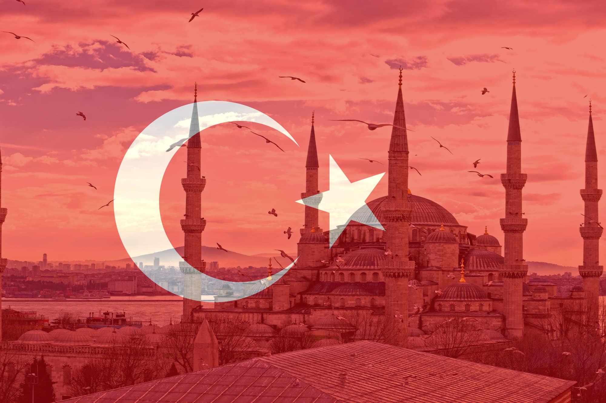 Best Turkish-Arabic translator | 6 distinctive applications