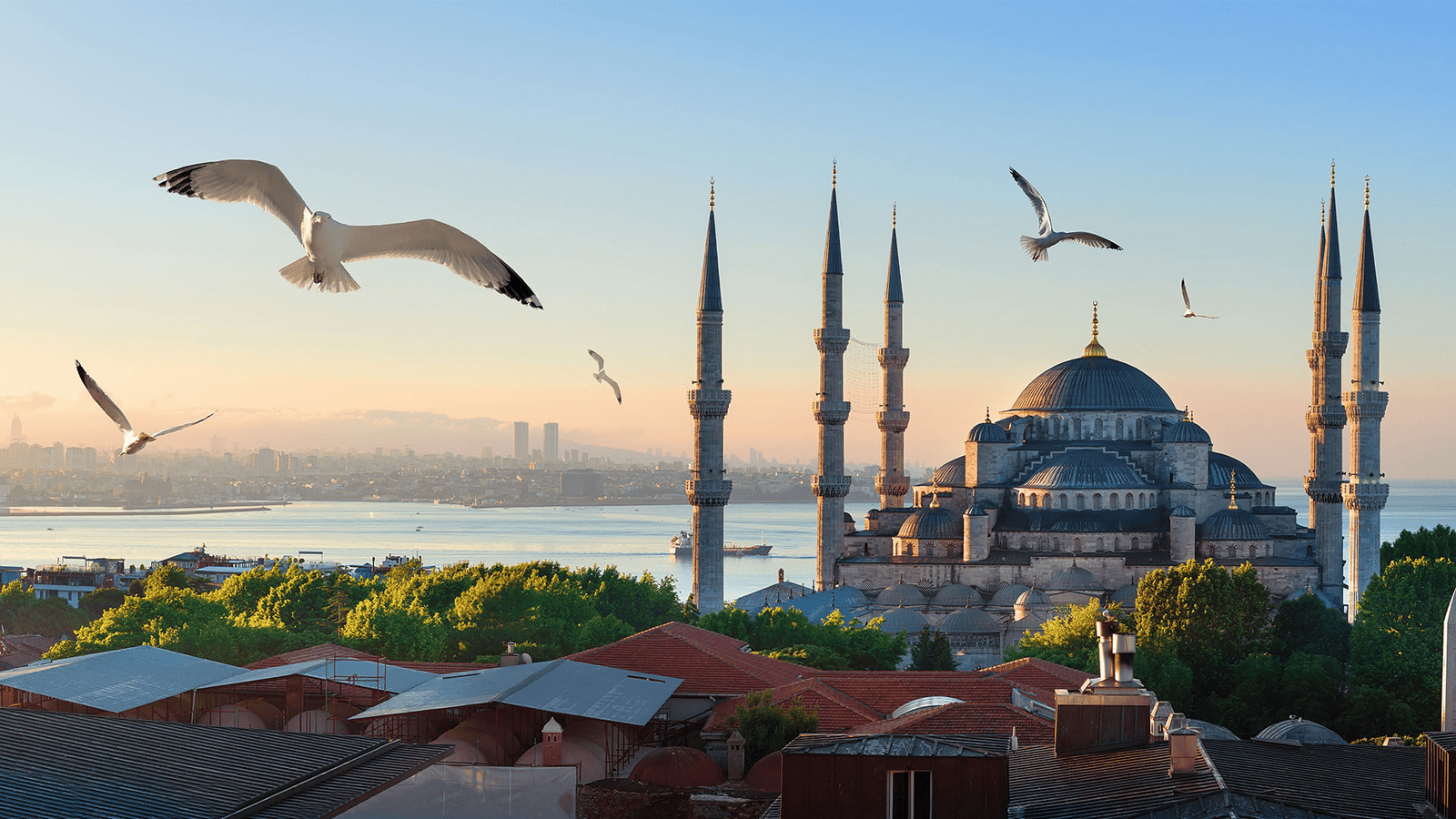 Fees - the Cost of Studying in Turkey