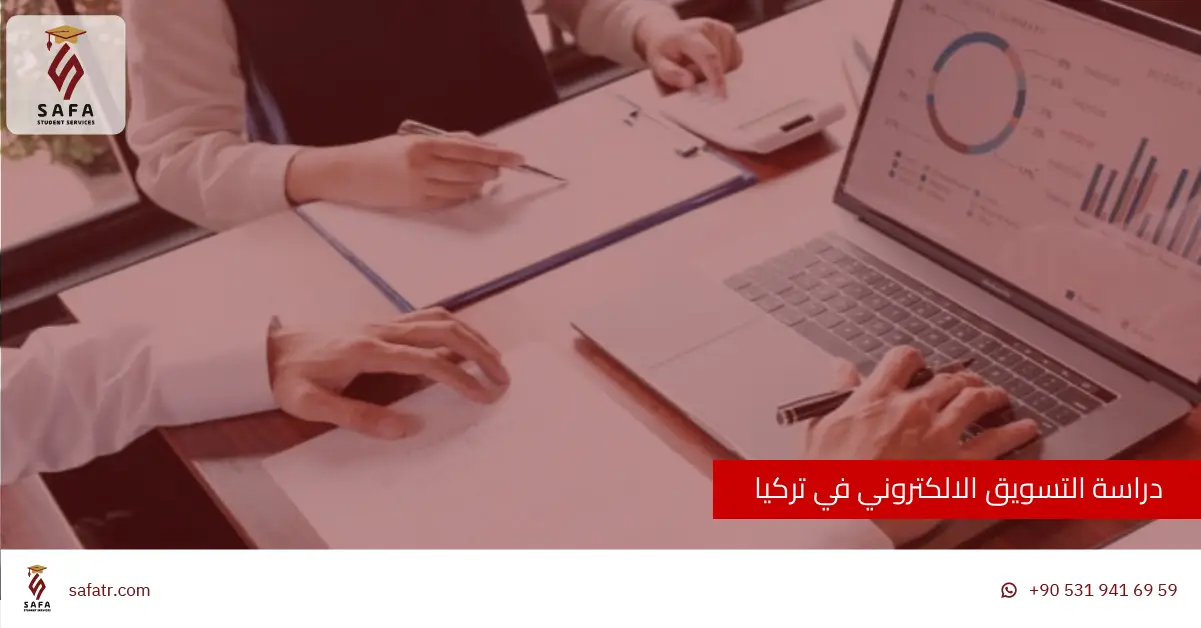 دراسة التسويق الالكتروني في تركيا
